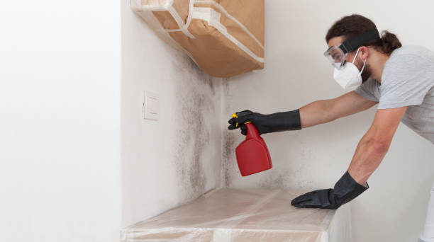 Professional Black Mold Removal technician working in Woodbury, PA