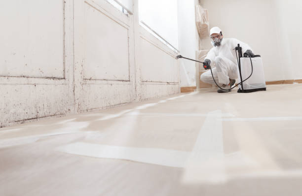 24/7 Emergency Black Mold Removal experts in Woodbury, PA